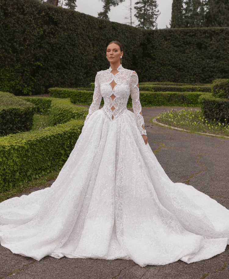 A Linie Luxus Brautkleid 2025 mit Ärmeln aus Spitze und Rückenausschnitt